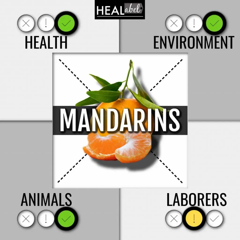 Mandarins: health benefits and harms