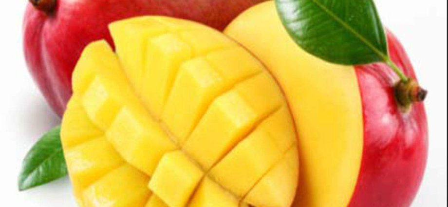 Mango: benefits and harms to the body