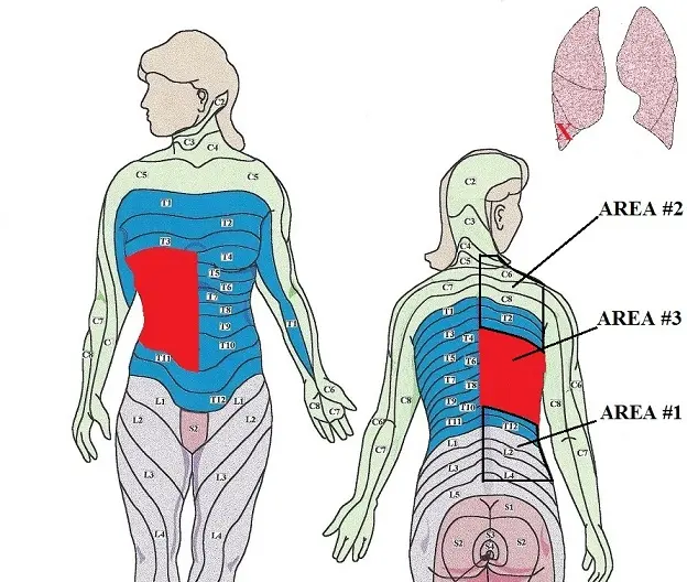 Massage for pneumonia for adults