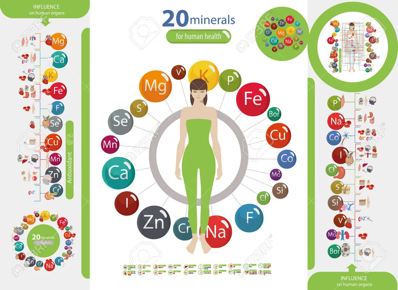 Microelements in the human body