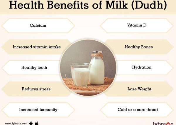 Milk: benefits and harms to the body