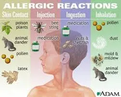 Mold allergy in adults