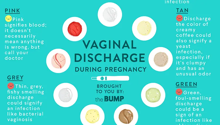 Mucous Discharge During Pregnancy In The 1st 2nd 3rd Trimester