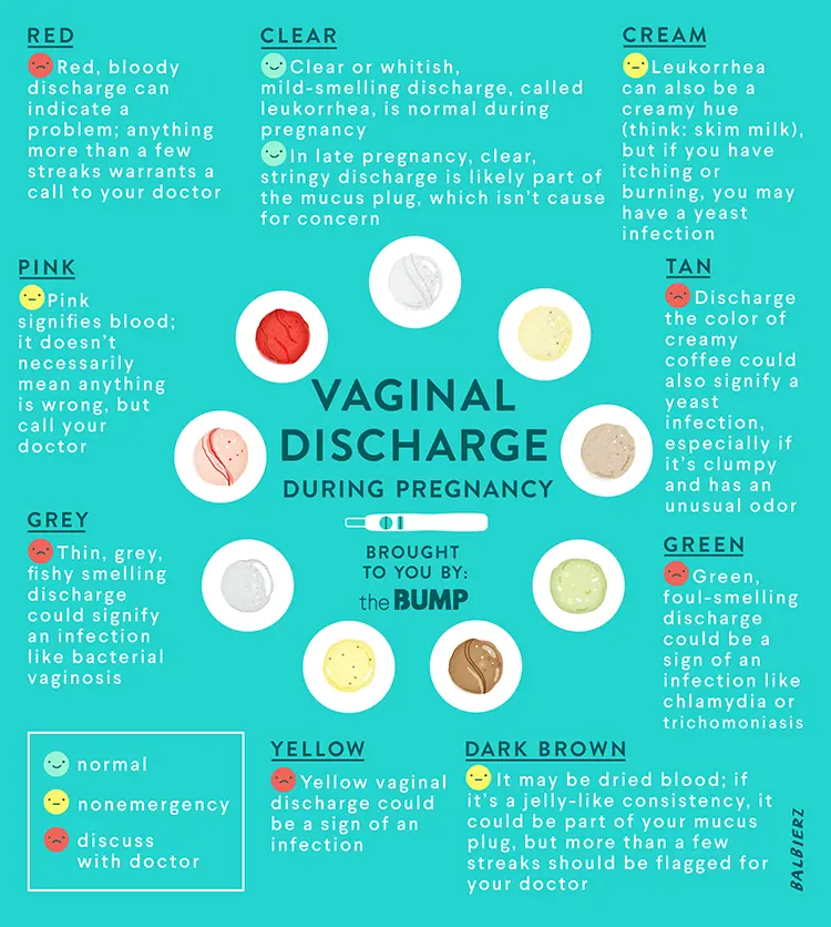 Mucous discharge during pregnancy in the 1st, 2nd, 3rd trimester