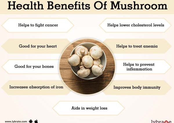 Mushrooms: benefits and harms to the body