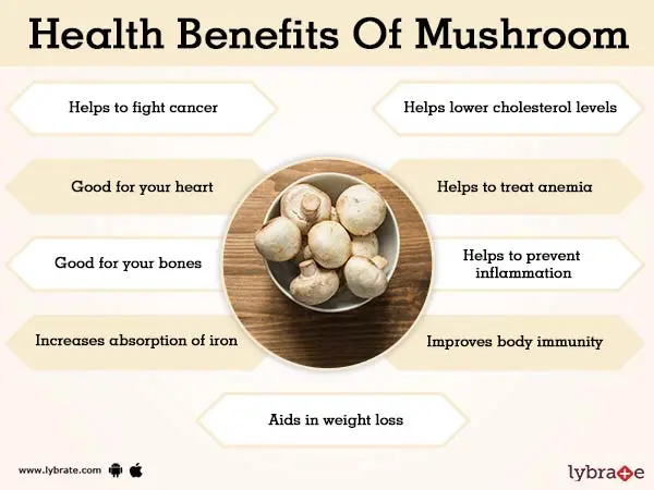 Mushrooms: benefits and harms to the body