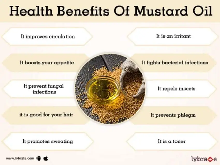 Mustard: benefits and harms to the body