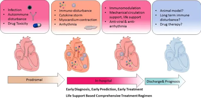 Myocarditis in adults