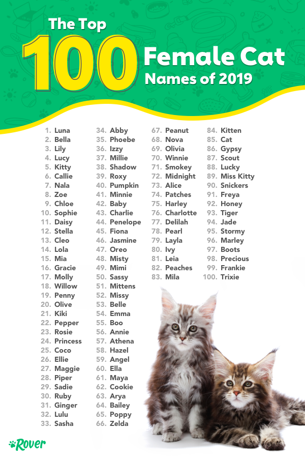 names-for-girls-cats-healthy-food-near-me