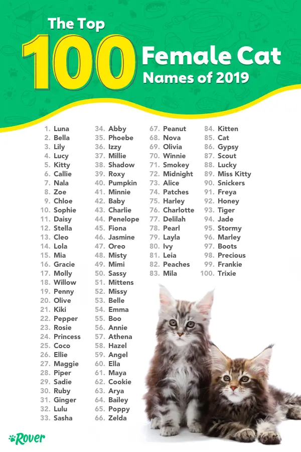 Names for girls cats