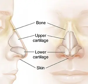 Nose massage for adults