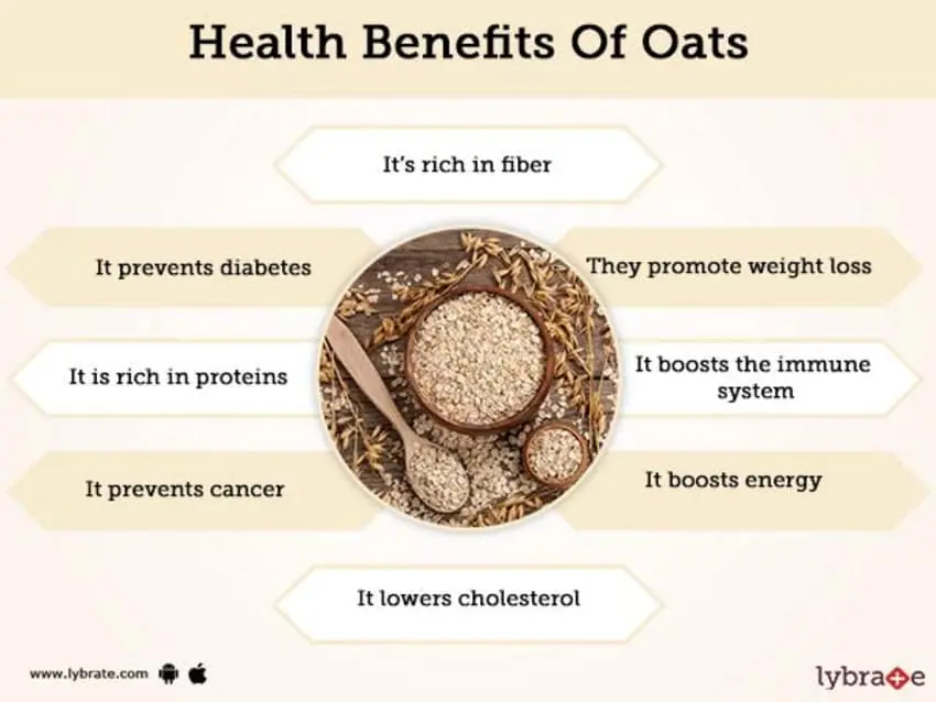 Oatmeal: benefits and harms to the body