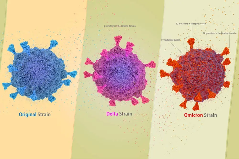 Omicron strain