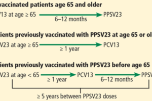 Pneumococcal vaccine for adults