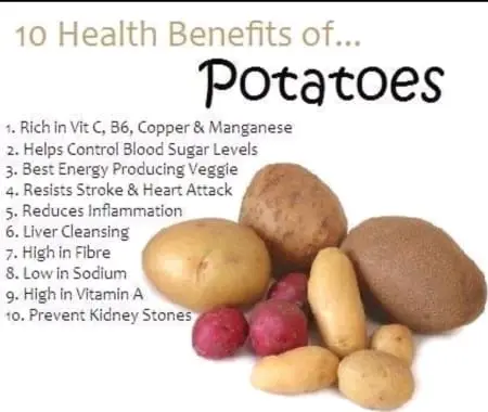 Potatoes: health benefits and harms