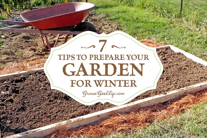 Preparing the garden for winter: what to do in the fall