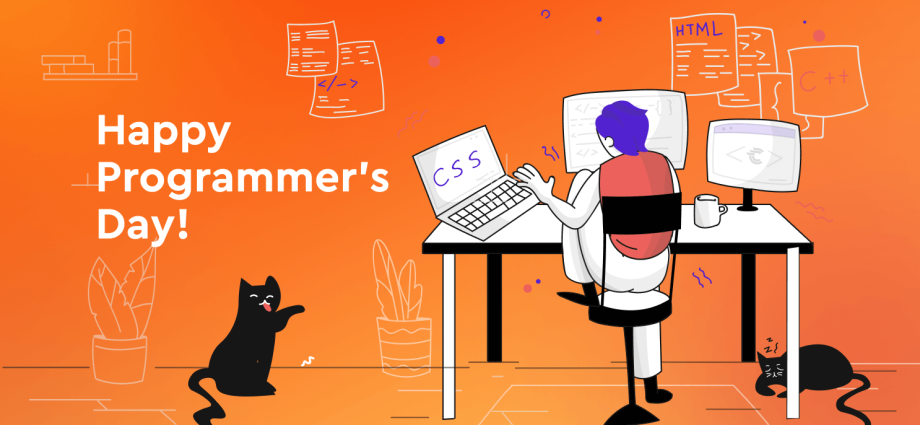 Programmer&#8217;s Day in 2022: the history and traditions of the holiday