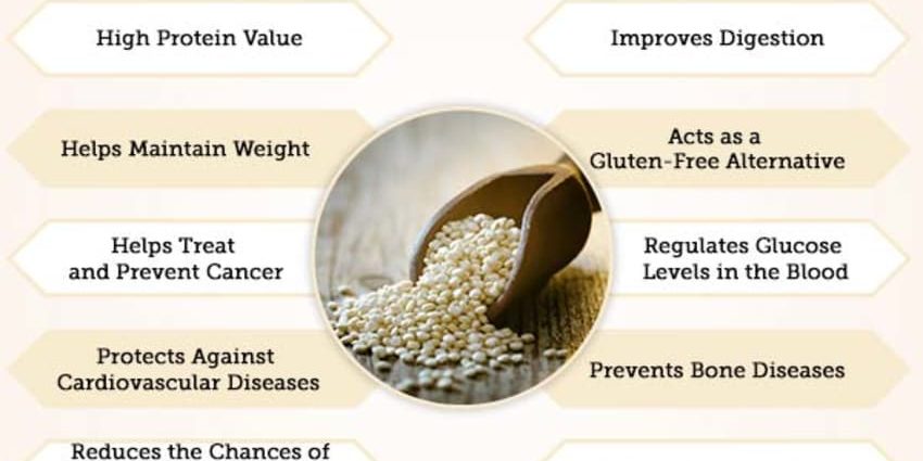 Quinoa: benefits and harms to the body