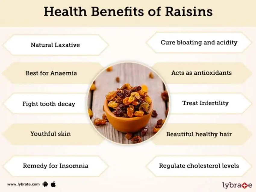 Raisins: benefits and harms to the body