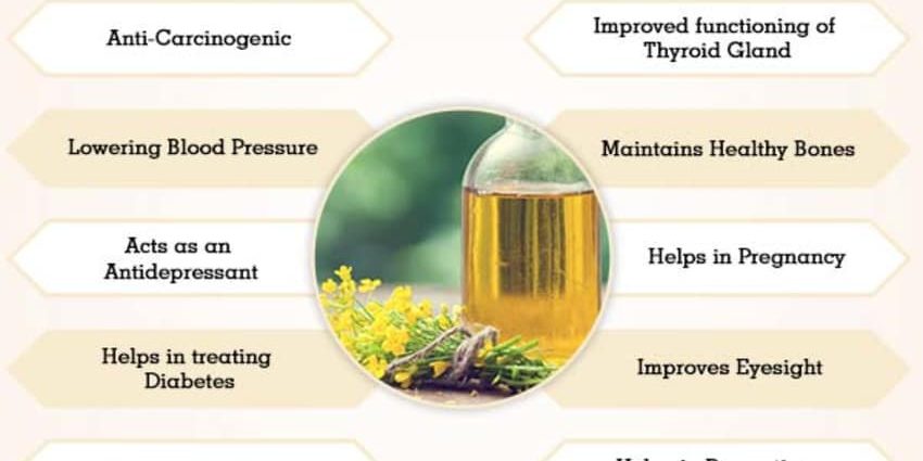 Rapeseed oil: health benefits and harms