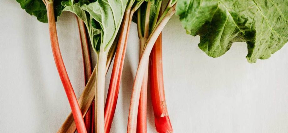 Rhubarb: benefits and harms to the body