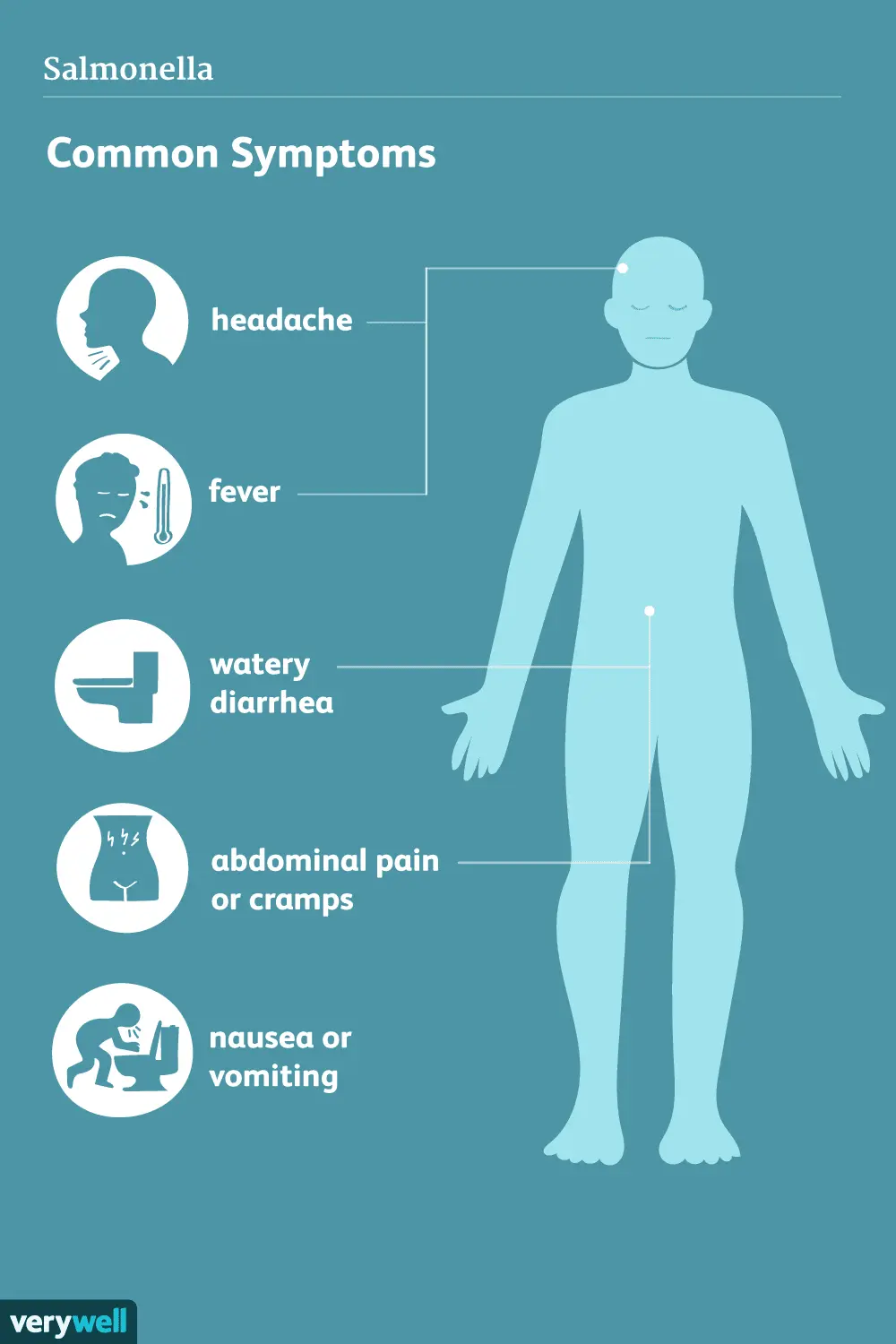 salmonellosis in adults