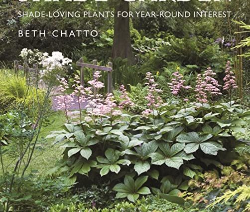 shade loving plants for the garden