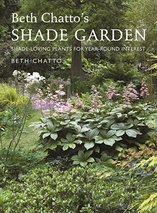 shade loving plants for the garden