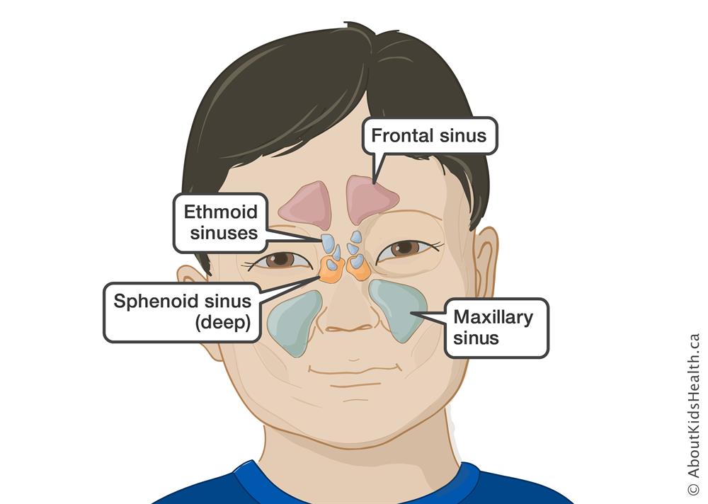 Can Stomach Problems Cause Sinus Problems