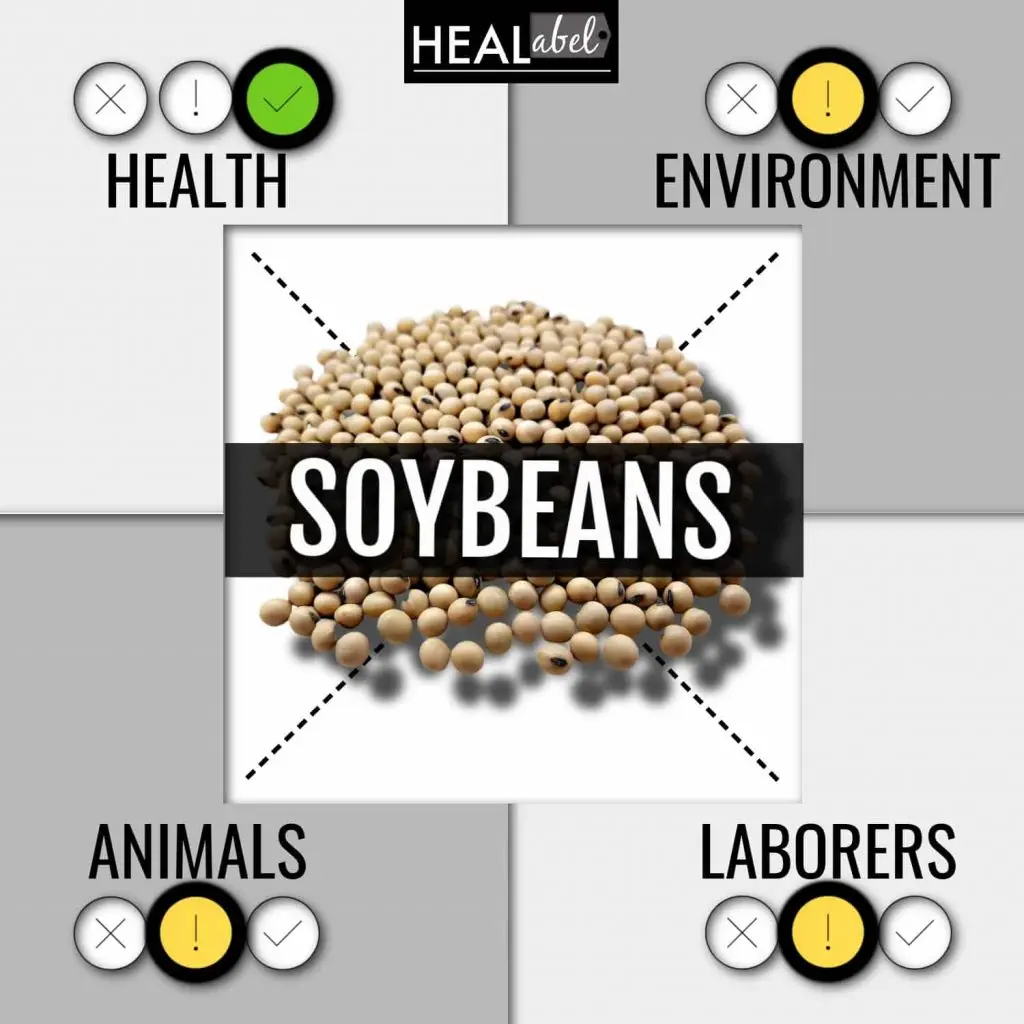 Soy meat: health benefits and harms