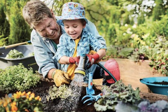 Spring work in the garden