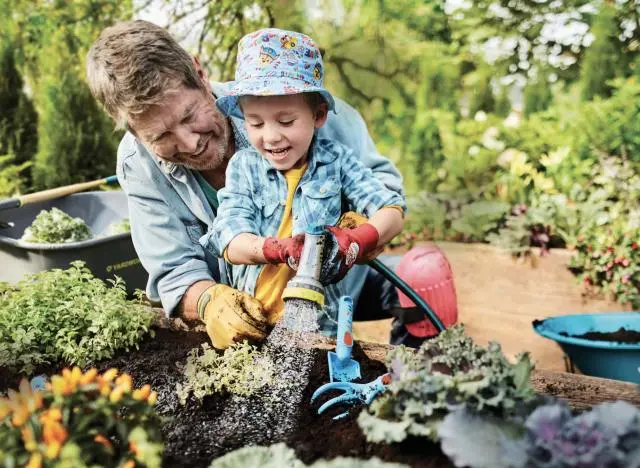 Spring work in the garden
