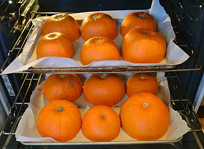 Storing pumpkin