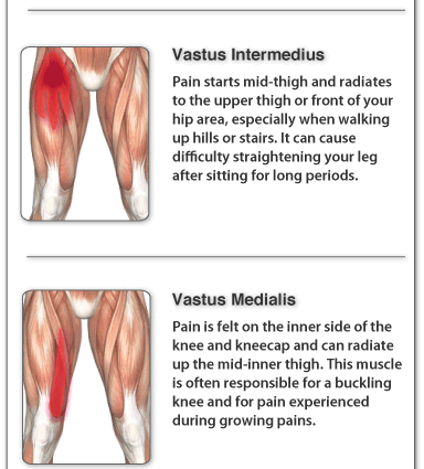 Stretching of the thigh muscles in adults