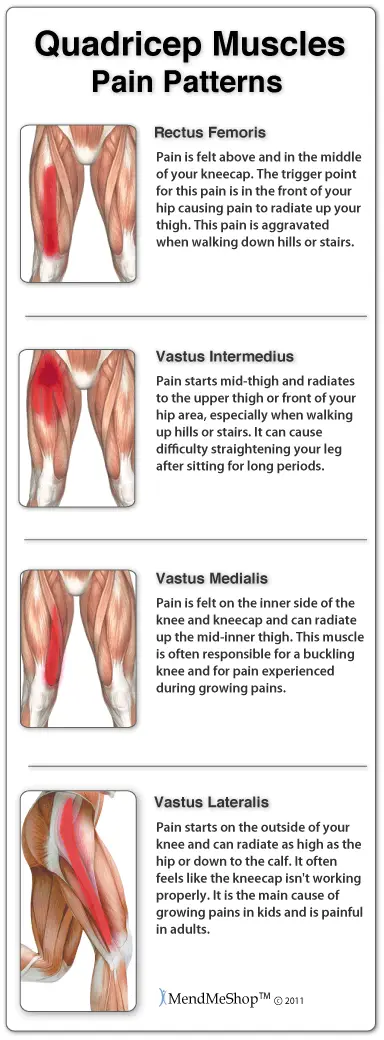 Stretching of the thigh muscles in adults