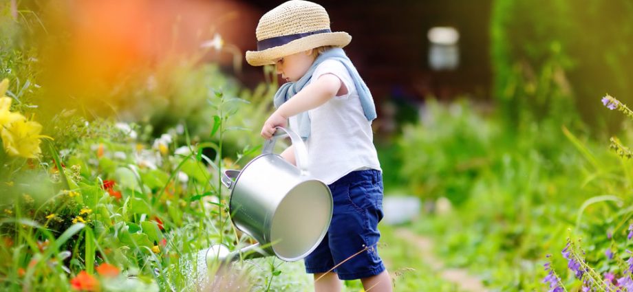 Summer work in the garden