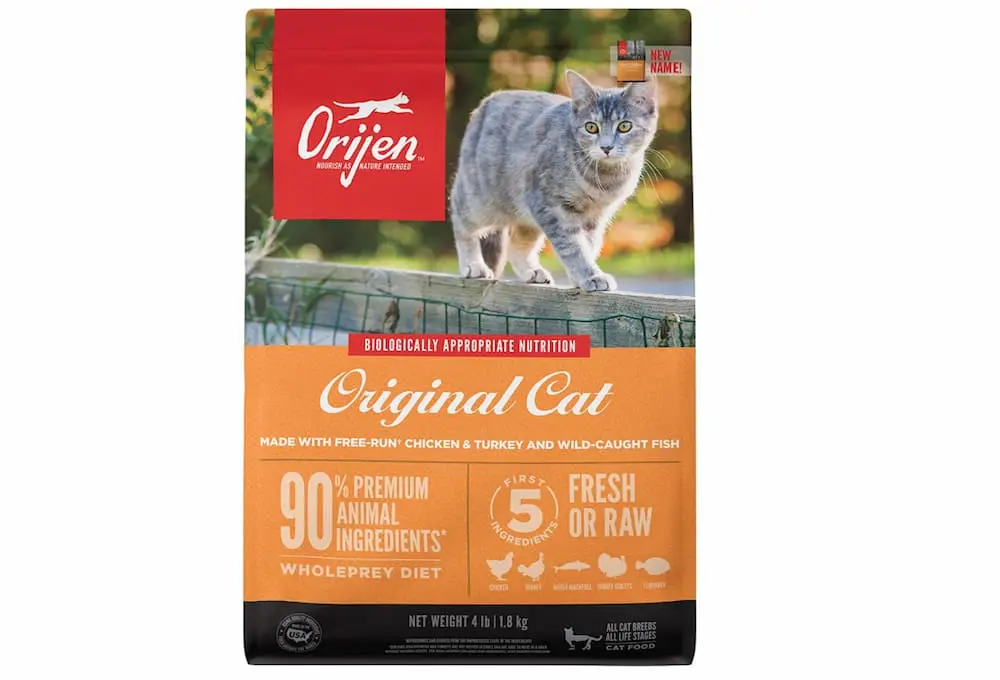 The best  cat food in 2022