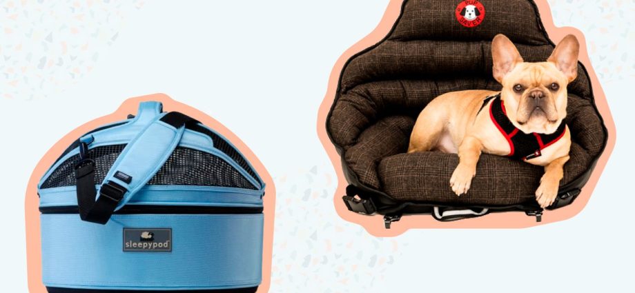 Las mejores sillas de coche para perros del 2022