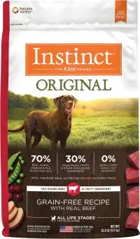 The best  dog food in 2022