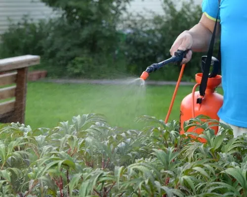 The best garden sprayers 2022