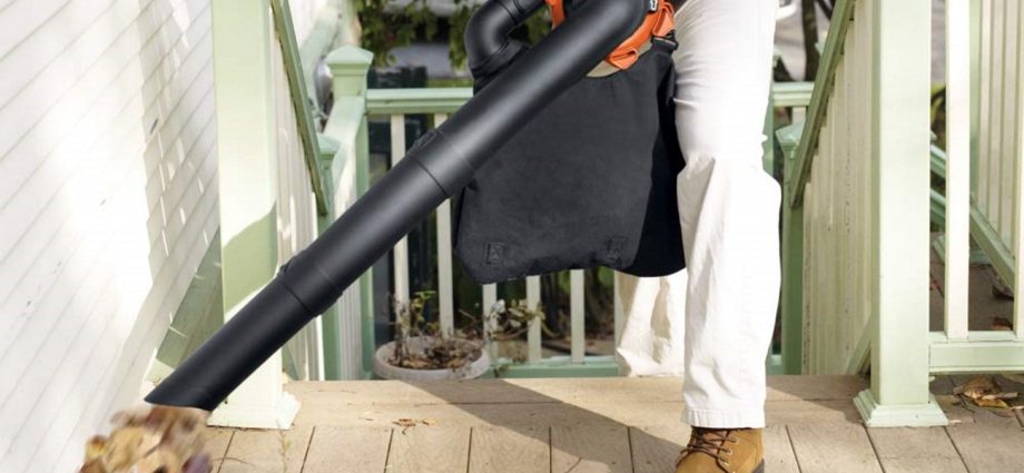 The Best Garden Vacuum Cleaners 2022 Healthy Food Near Me