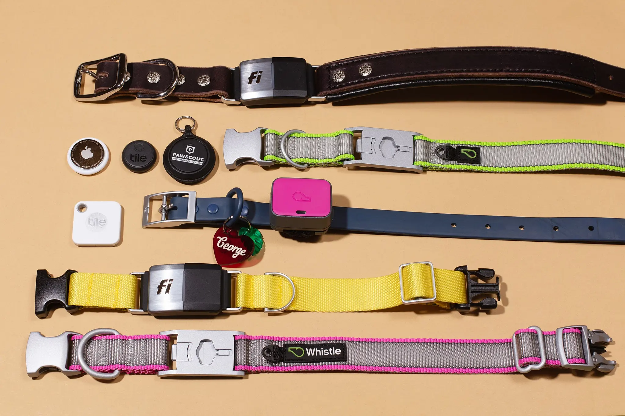 The Best GPS Collars for Dogs