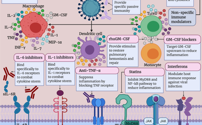 The best immunomodulators for adults