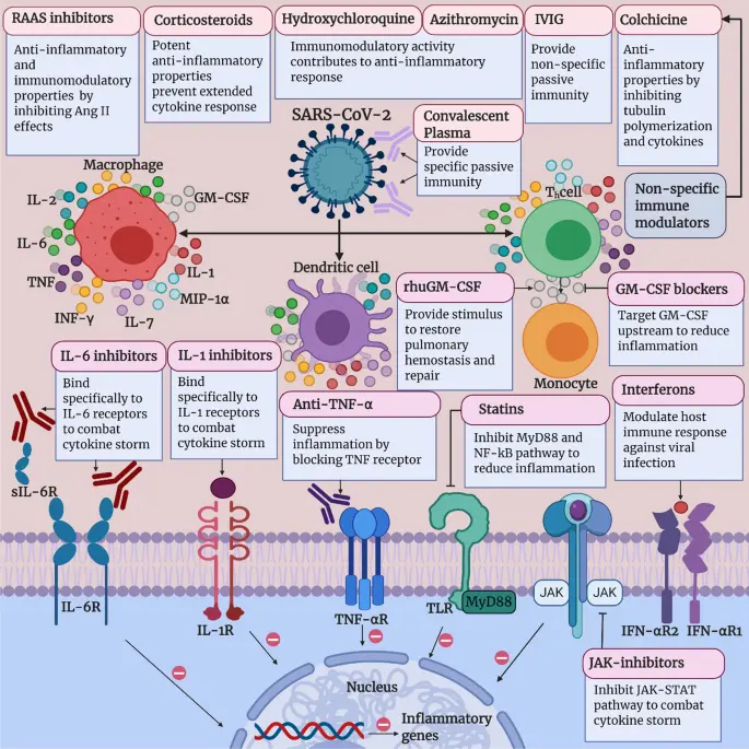 The best immunomodulators for adults