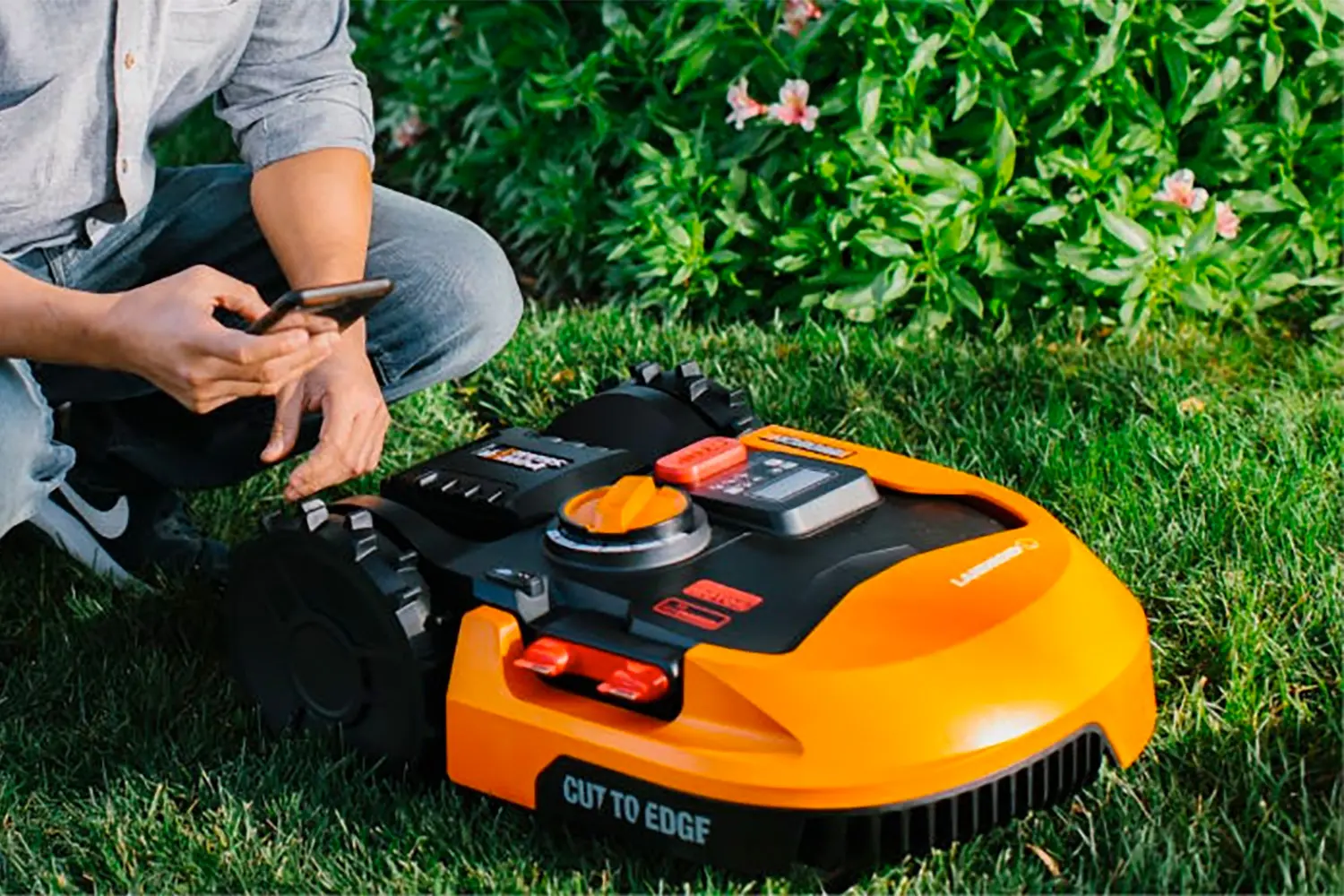 The best lawnmower robots of 2022