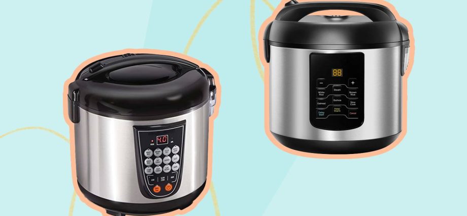 The best multicookers for the home of 2022