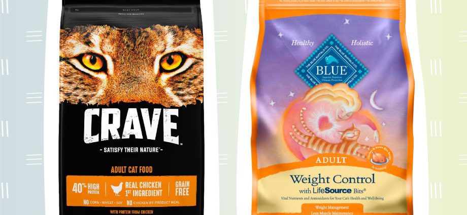 The Best Premium Cat Foods in 2022