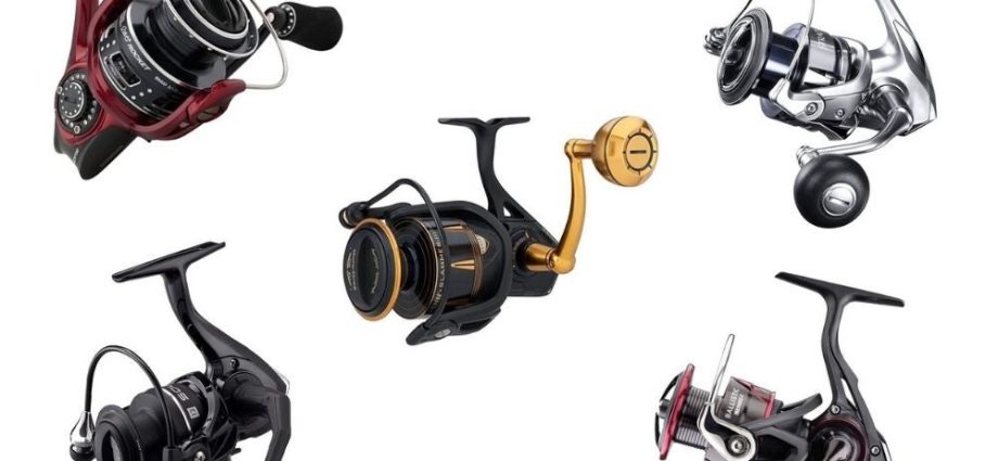 The best spinning reels 2022