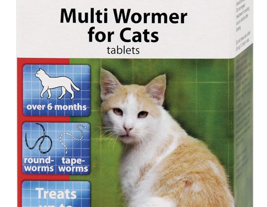 The best tablets for worms for cats and cats