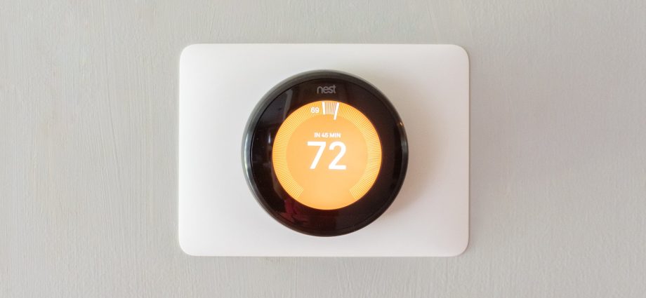 The best thermostats for greenhouses 2022